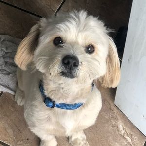 Meet your Posher, Lisette